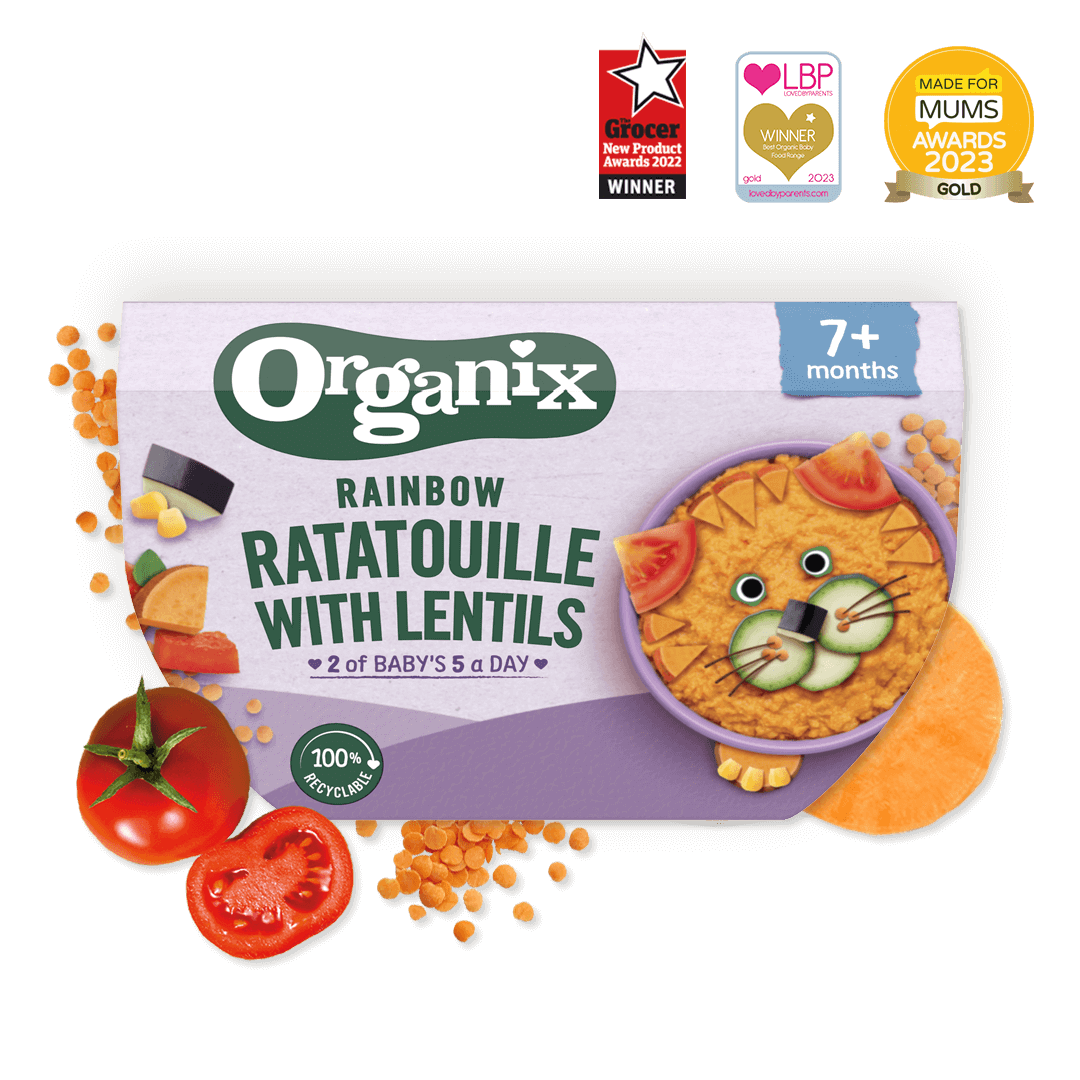 Rainbow Ratatouille With Lentils