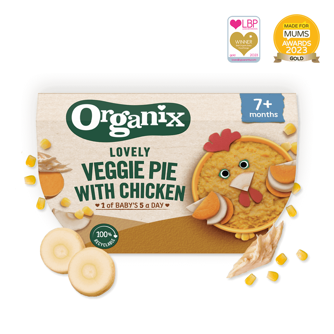 Lovely Veggie Pie with Chicken