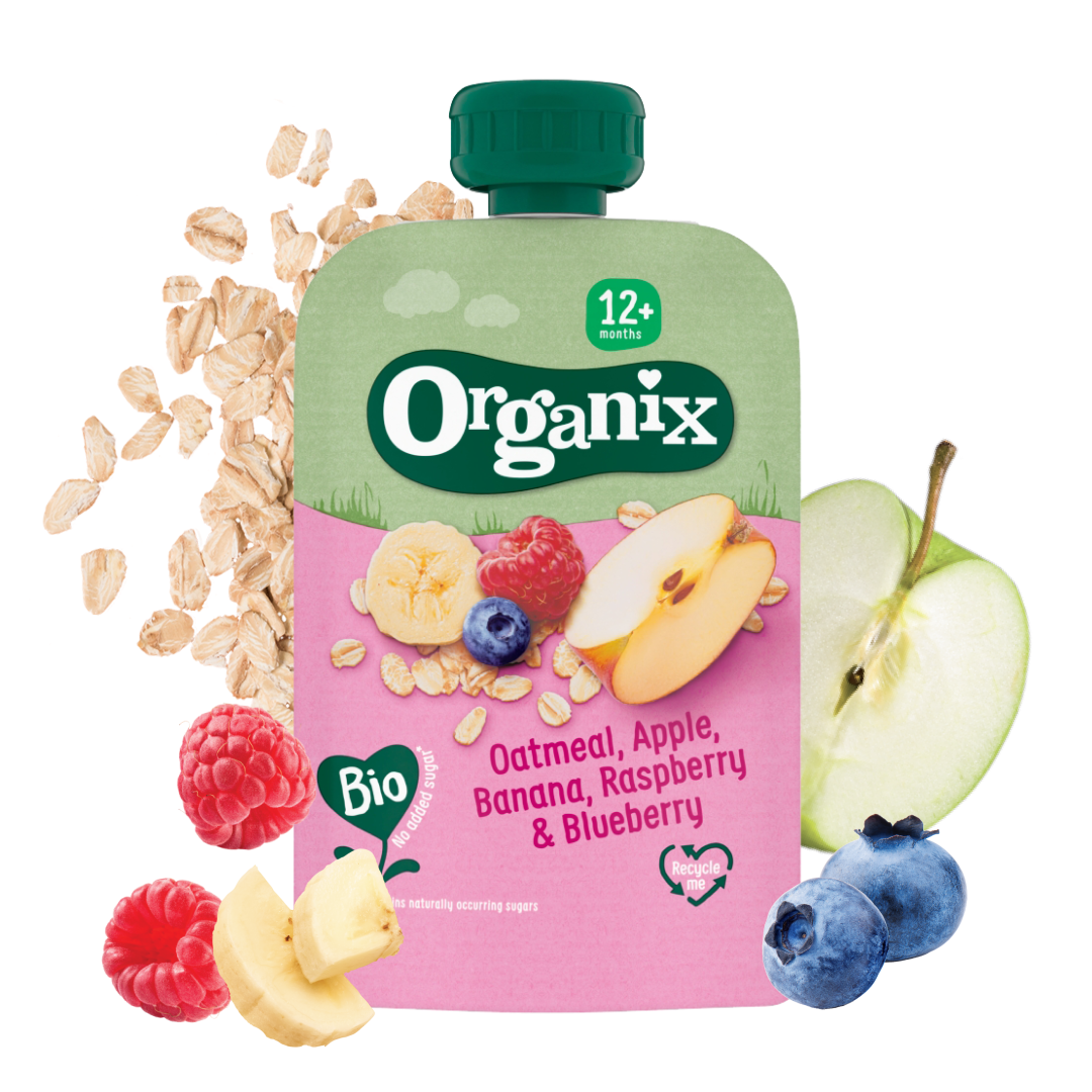Oatmeal, Apple, Banana, Raspberry & Blueberry Pouch