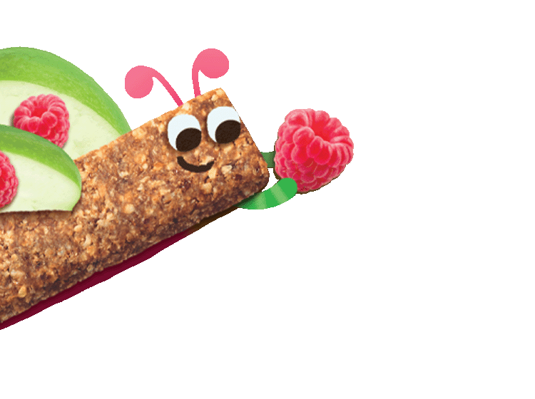A Raspberry and Apple adorable flying cartoon bug made out of an Organix Raspberry and Apple Oaty bar and apple and raspberry fruit pieces