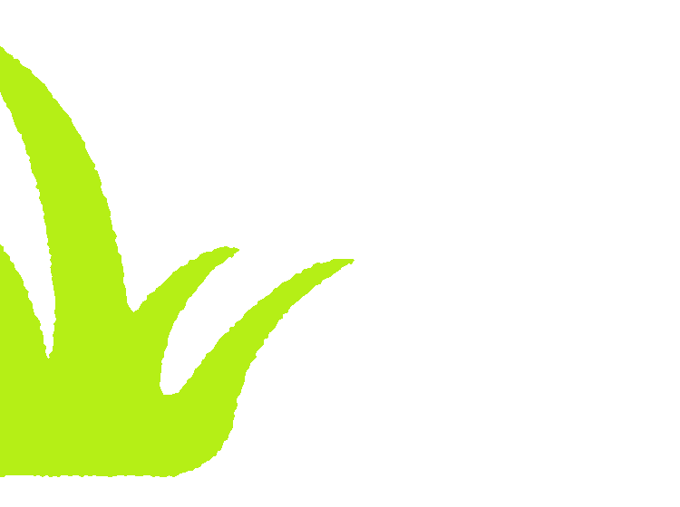 illustrated green grass