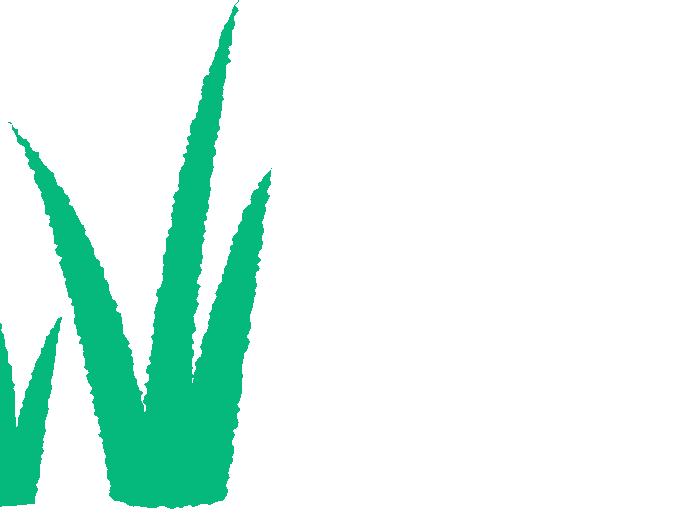 Cartoon, illustrated green leaves with texture