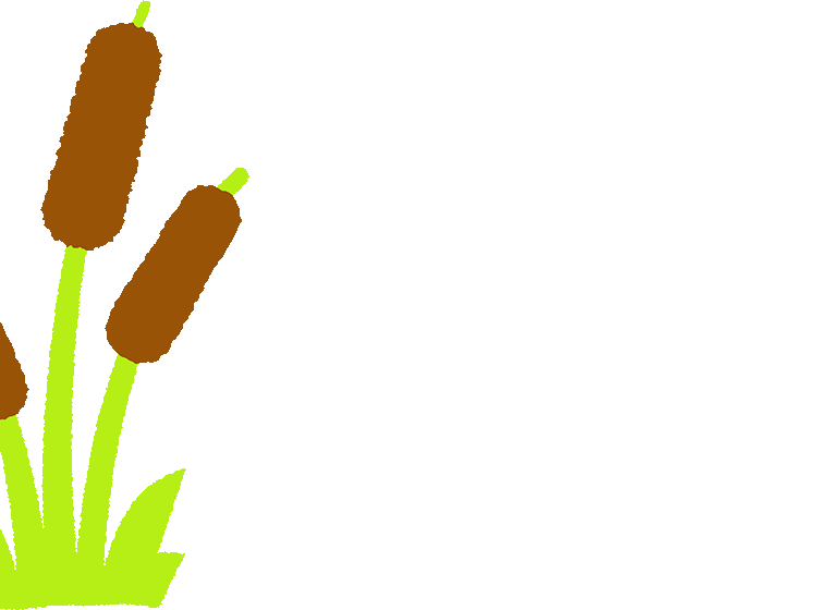 Cartoon illustrated reeds