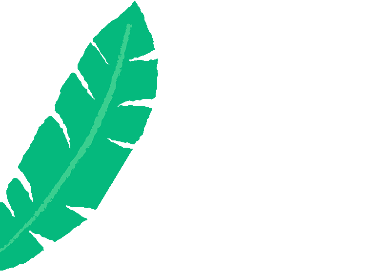 A cartoon banana leaf with textured edges