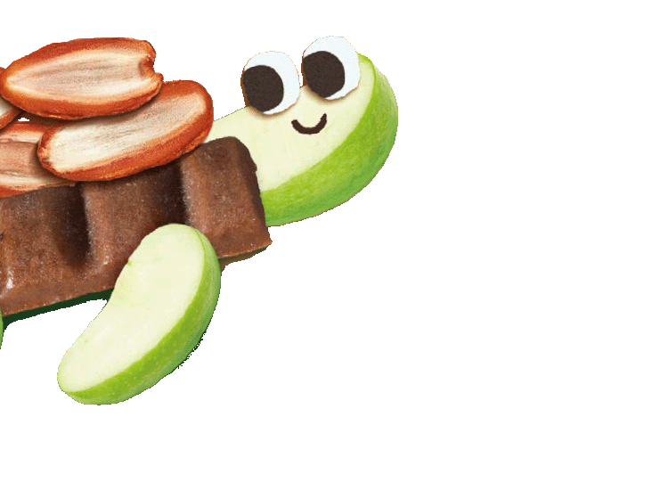 cartoon turtle made from Organix date and apple fruit bars, dates and apple slices