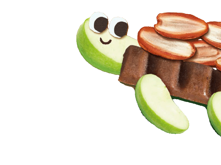 cartoon turtle made from Organix date and apple fruit bars, dates and apple slices