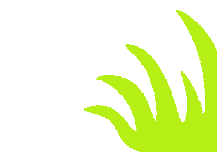 illustrated cartoon green grass