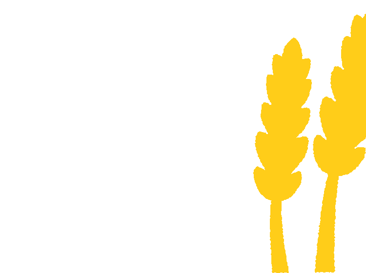 yellow cartoon wheat leaves