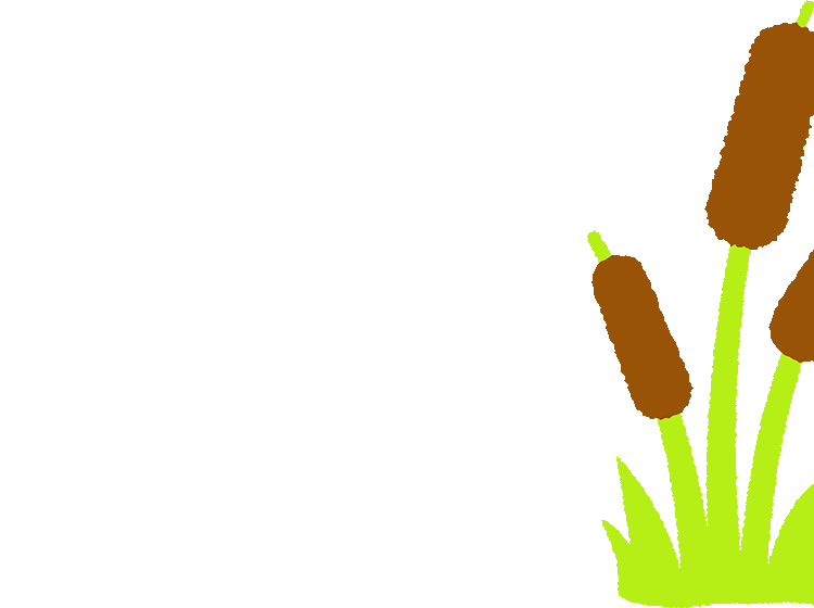 Cartoon illustrated Reeds