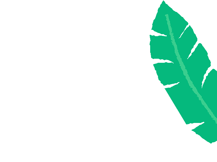 Cartoon illustrated green banana leaf with textured edges