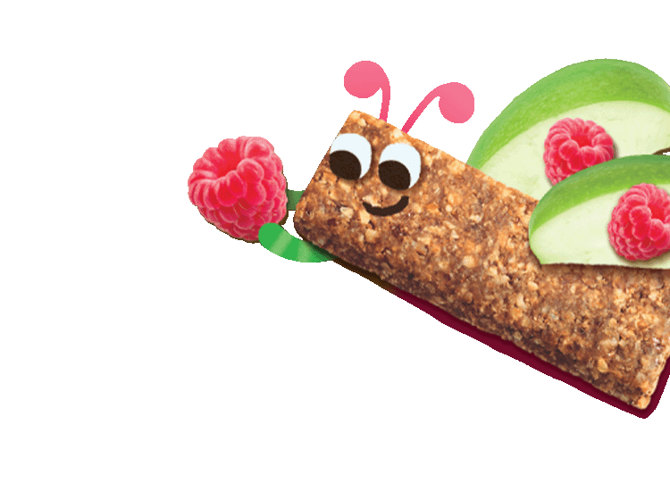 A Raspberry and Apple adorable flying cartoon bug made out of an Organix Raspberry and Apple Oaty bar and apple and raspberry fruit pieces