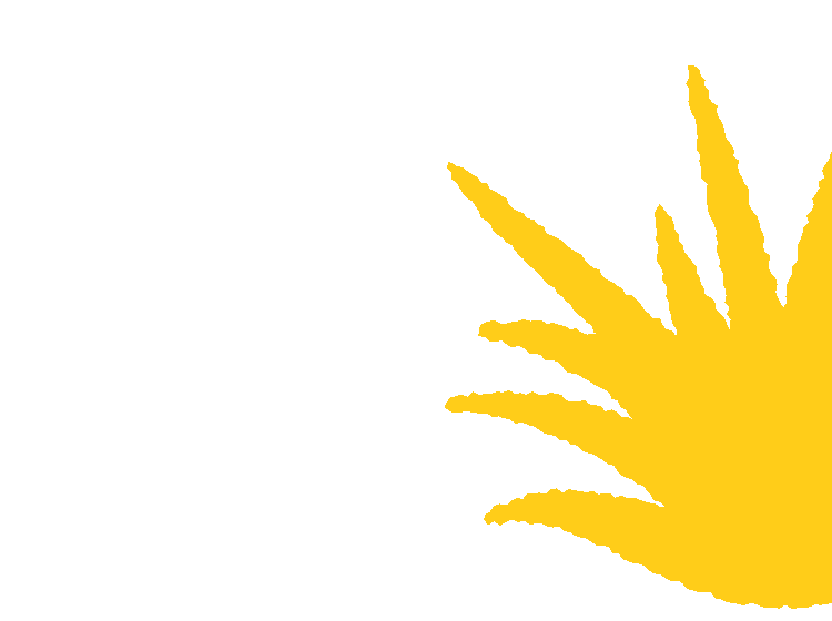 Illustrated yellow bush