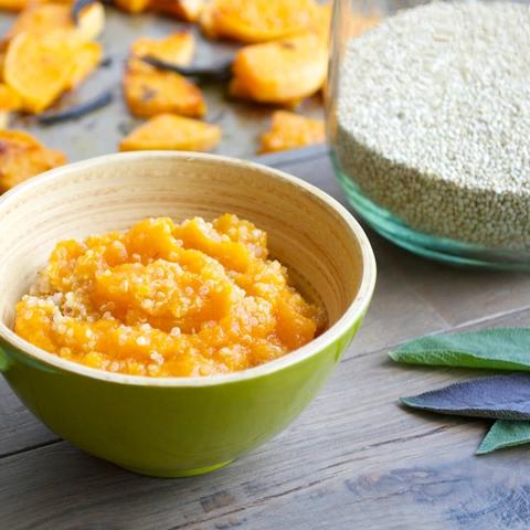 Butternut Squash Puree