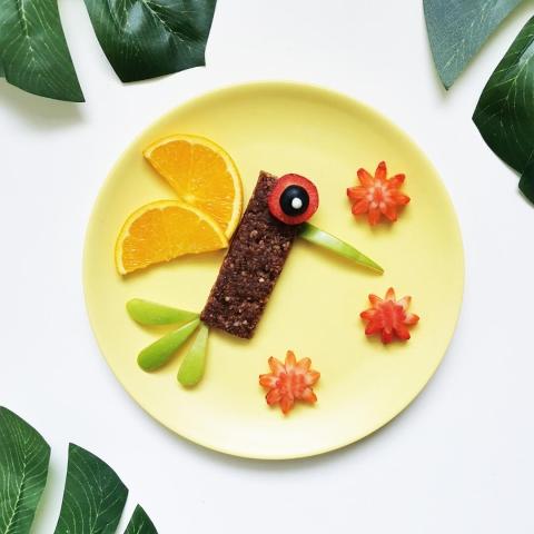 Hummingbird Oaty Bar Fun Plate