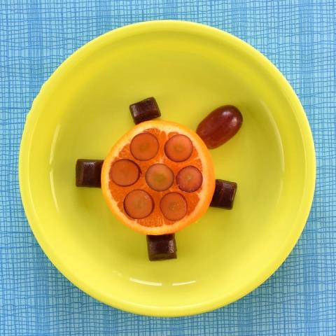 Turtle Time Fun Plate